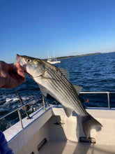 RockFishing Walk-On Charter Sunday Oct 26th Please Read Below!